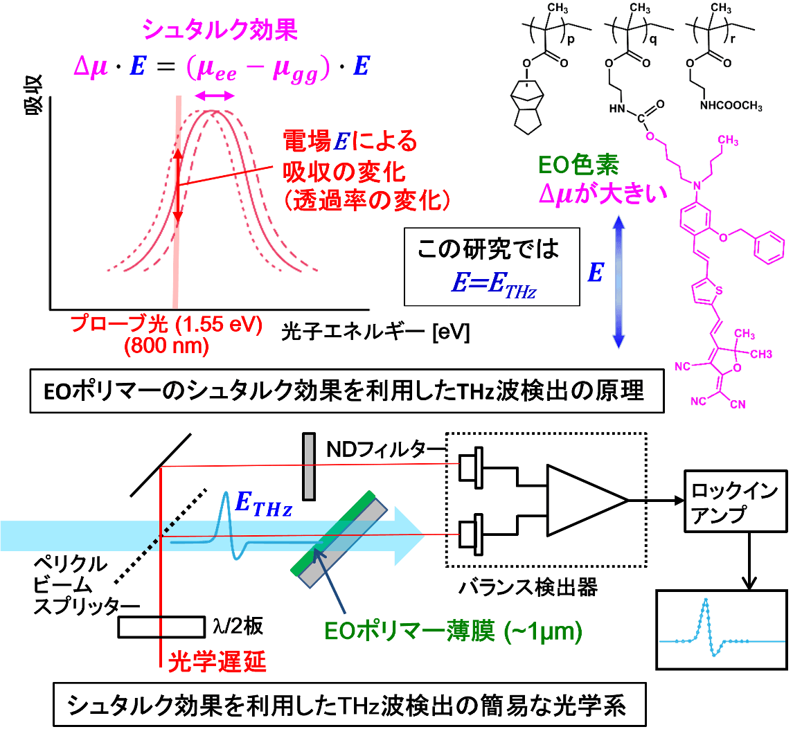 図1 新規有機テラヘルツ検出素子の研究開発